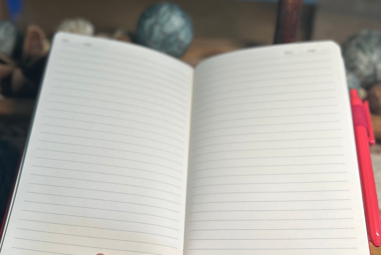 Let Your Dreams Take Flight Butterfly Notebook Journal - Pink