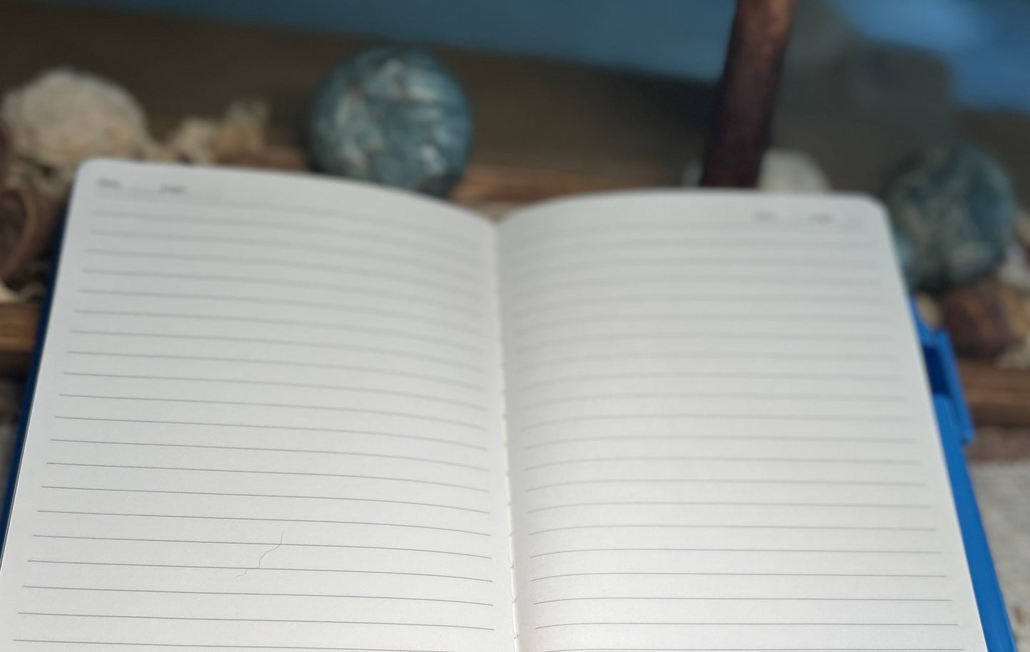 Bull Skull Western Scene Notebook Journal - Blue