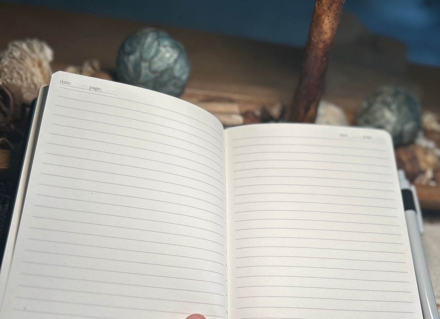 Cactus Succulent Notebook Journal - Black
