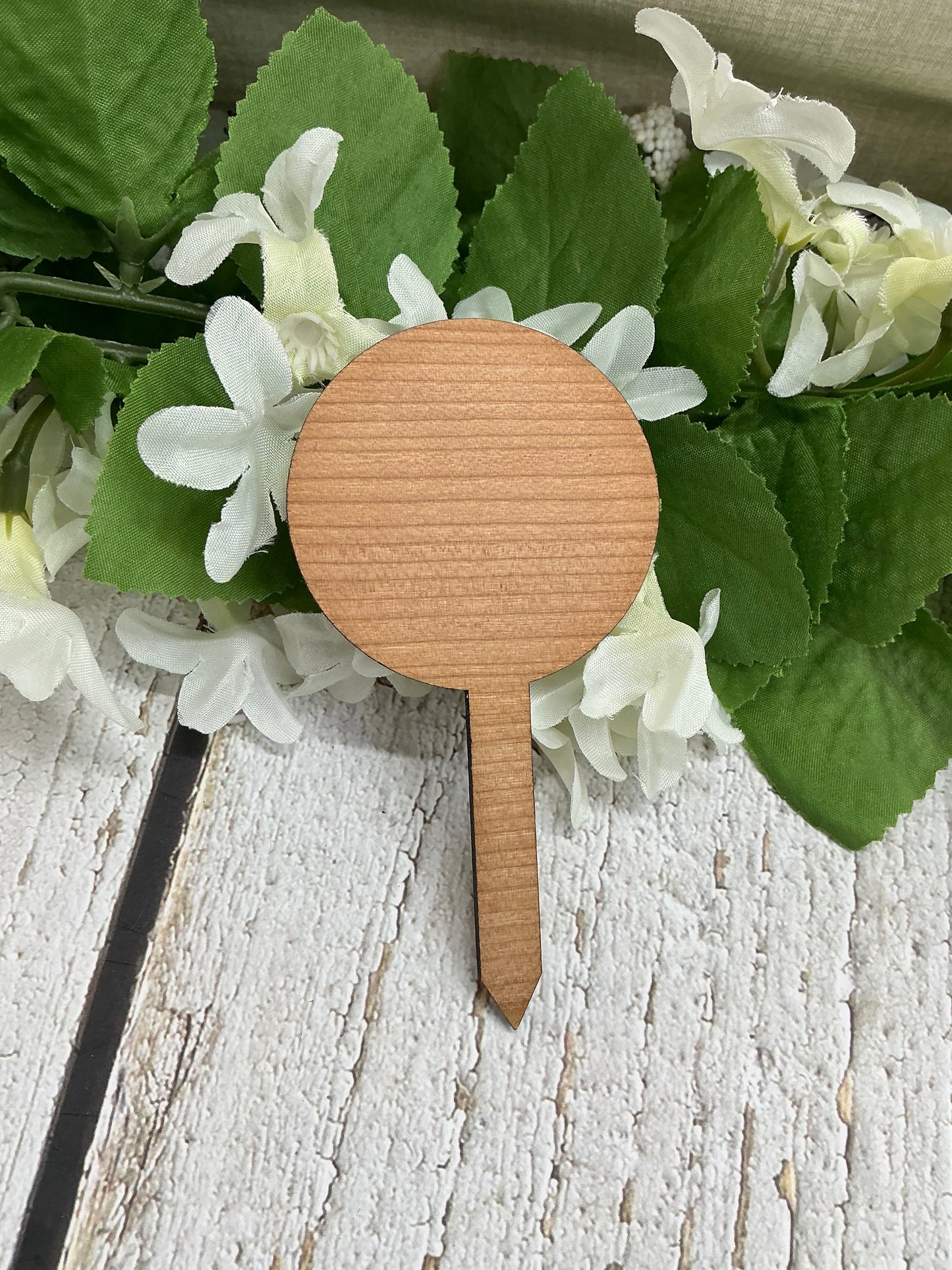 Flower of Some Sort Dark Wood Plant Stake