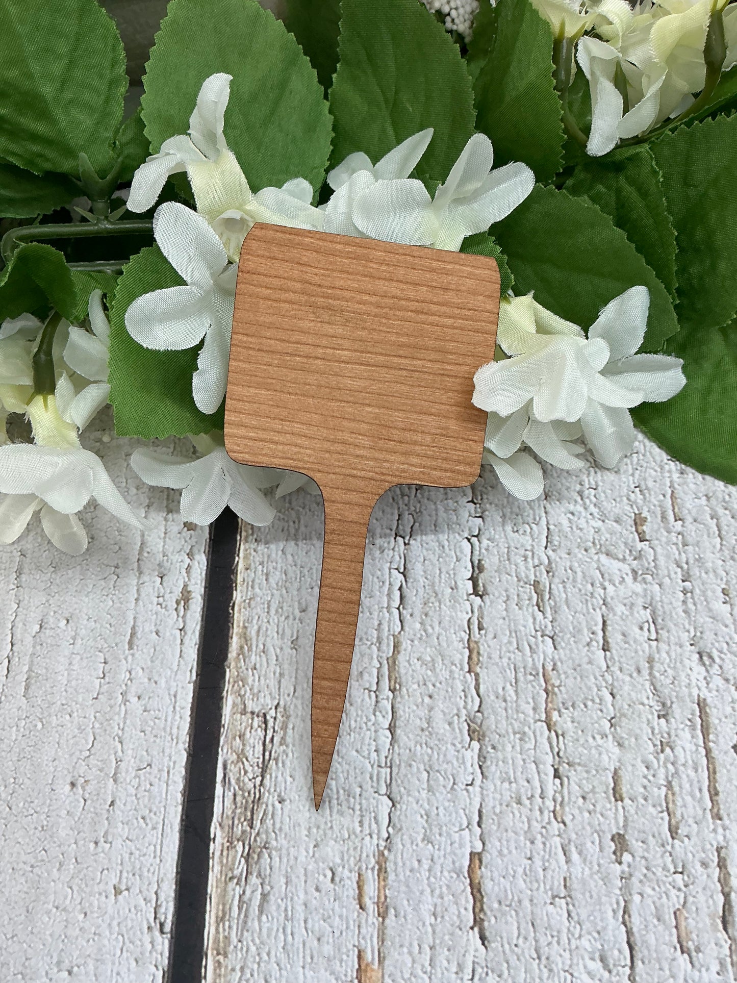 Only The Good Die Young Dark Wood Plant Stake