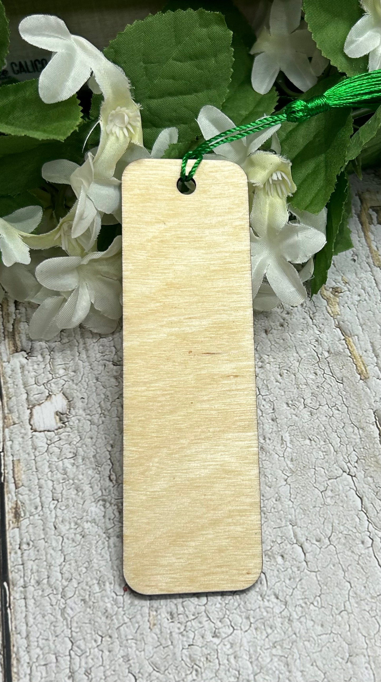 Read More Books Succas - Succulent Bookmark 1/8" wood 5"