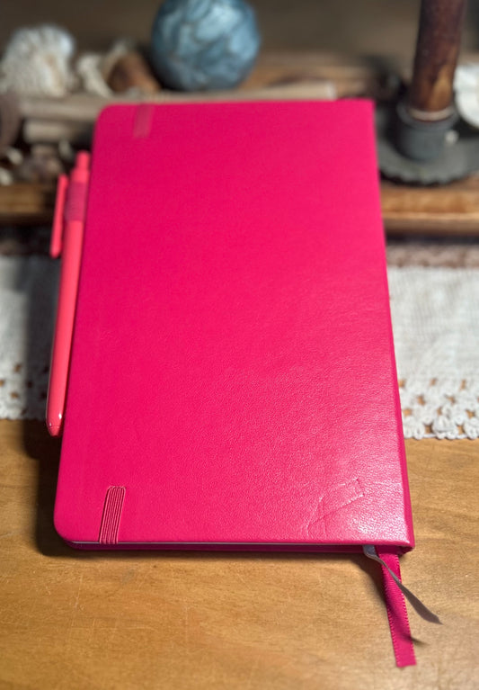 Let Your Dreams Take Flight Butterfly Notebook Journal - Pink