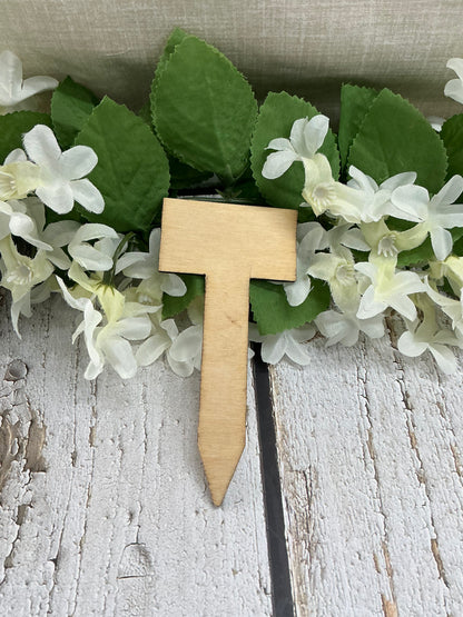 Rooting For You Light Wood Plant Stake