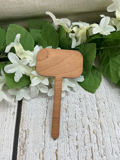 Cultivate Kindness Dark Wood Plant Stake