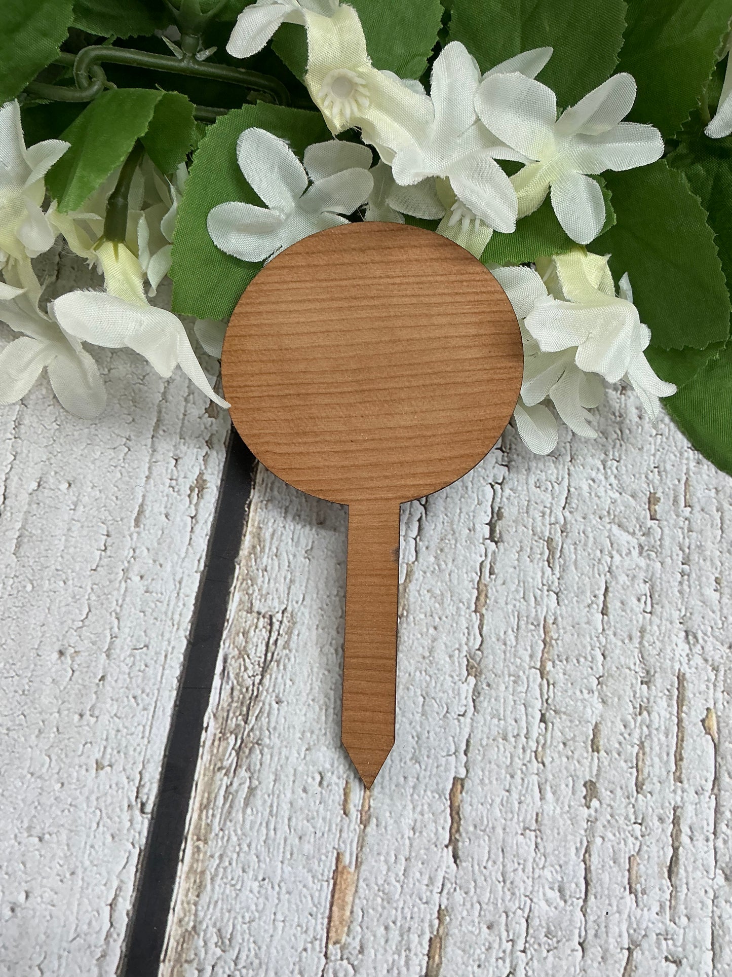 You Had Me At Aloe Dark Wood Plant Stake