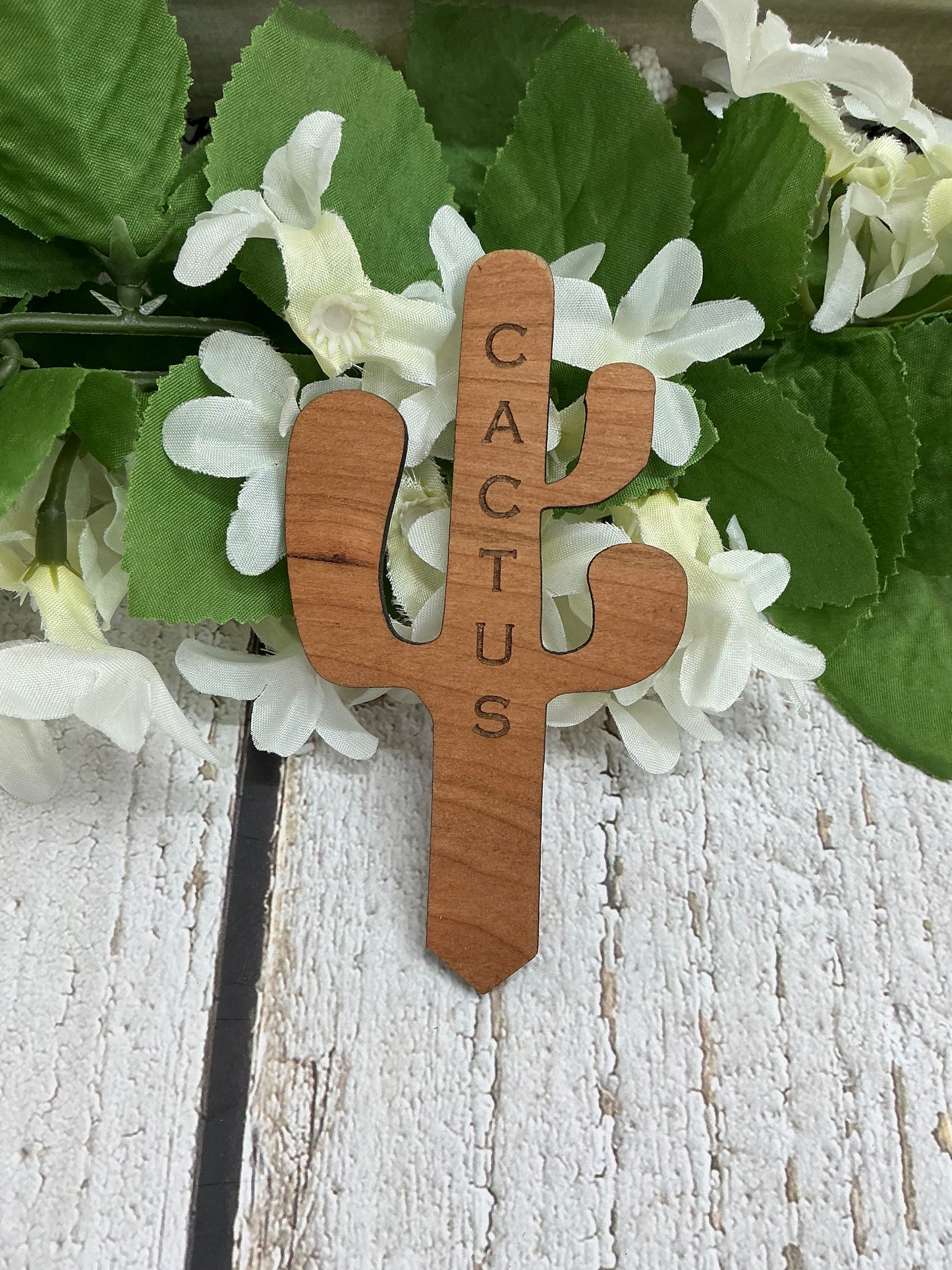 Cactus Dark Wood Plant Stake