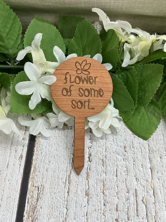 Flower of Some Sort Dark Wood Plant Stake