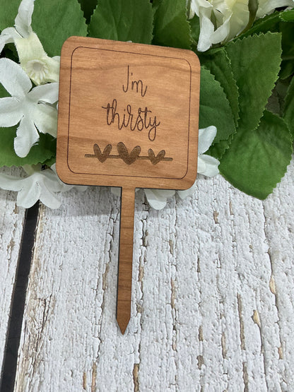 Square I'm Thirsty Dark Wood Plant Stake