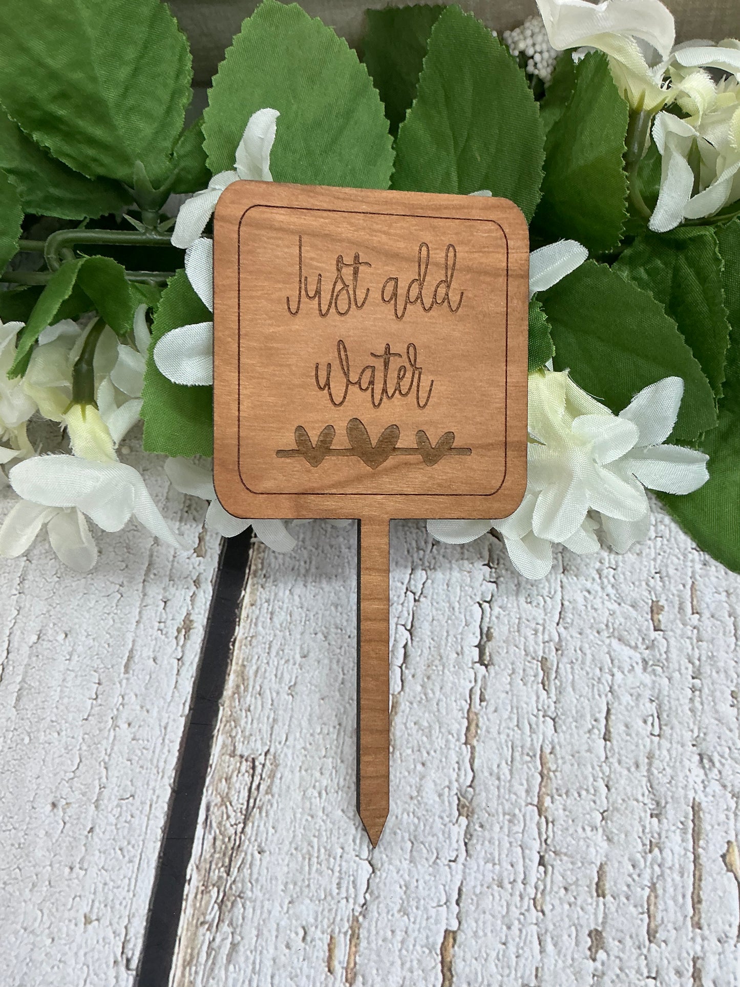Square Just Add Water Dark Wood Plant Stake