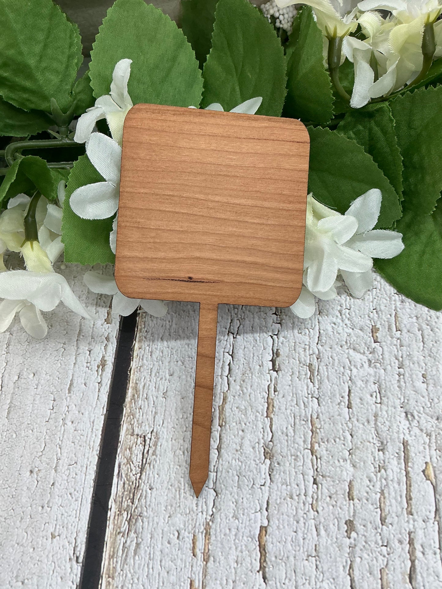 Square Just Add Water Dark Wood Plant Stake
