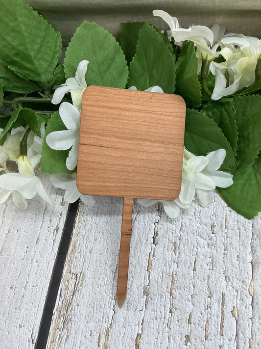 Square I'm Rooting For You Dark Wood Plant Stake