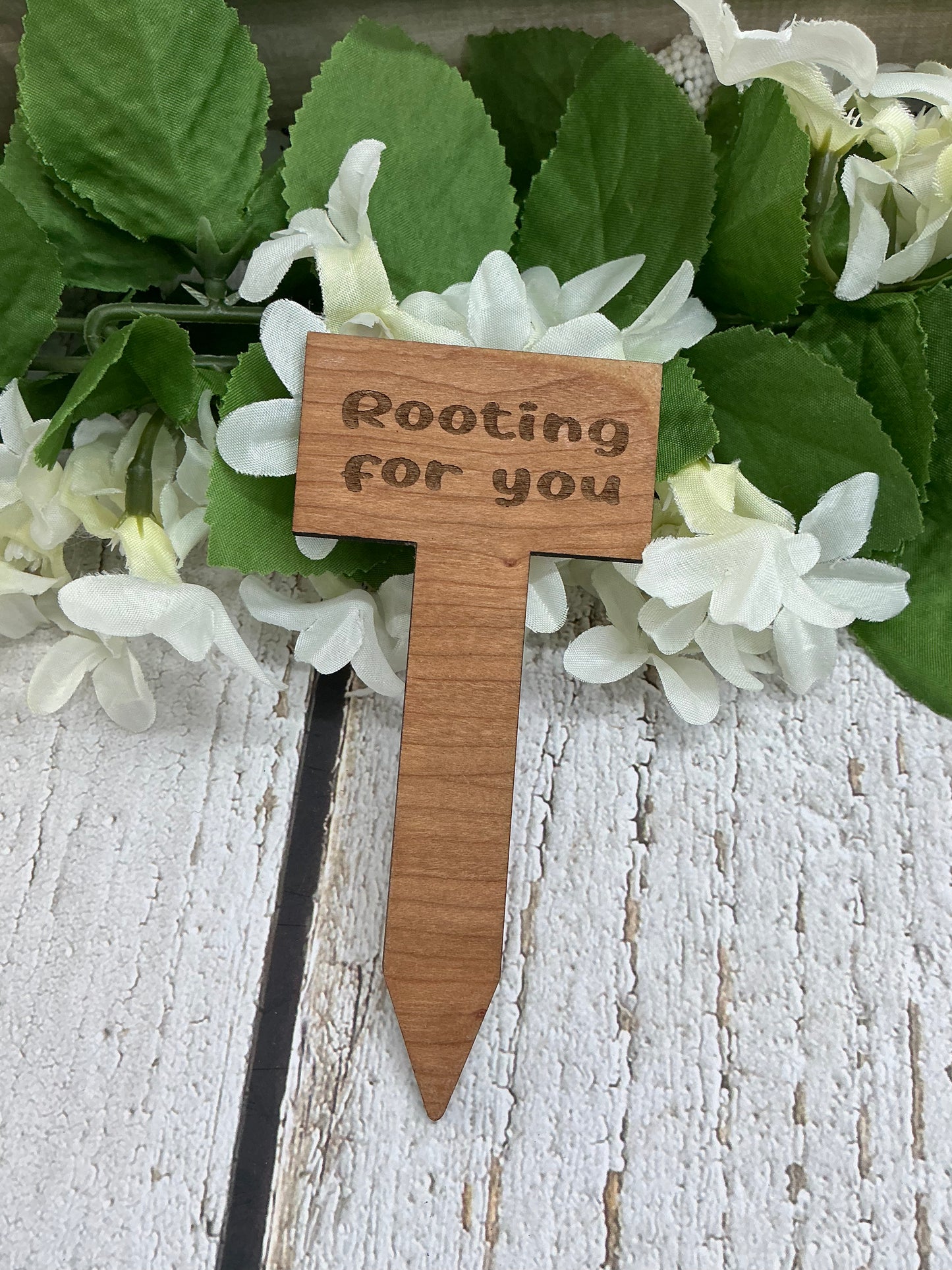 Rooting For You Dark Wood Plant Stake