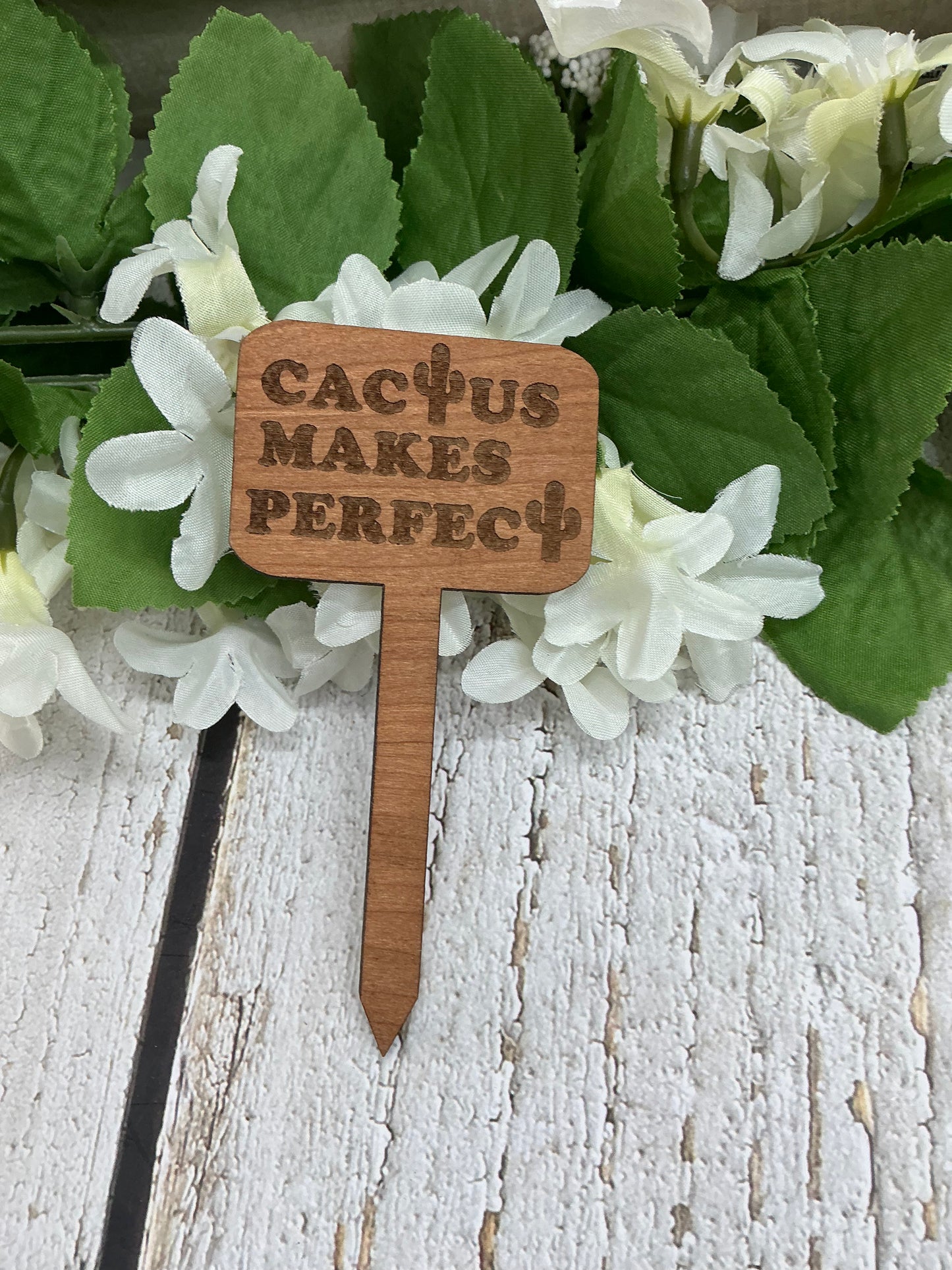 Cactus Makes Perfect Dark Wood Plant Stake