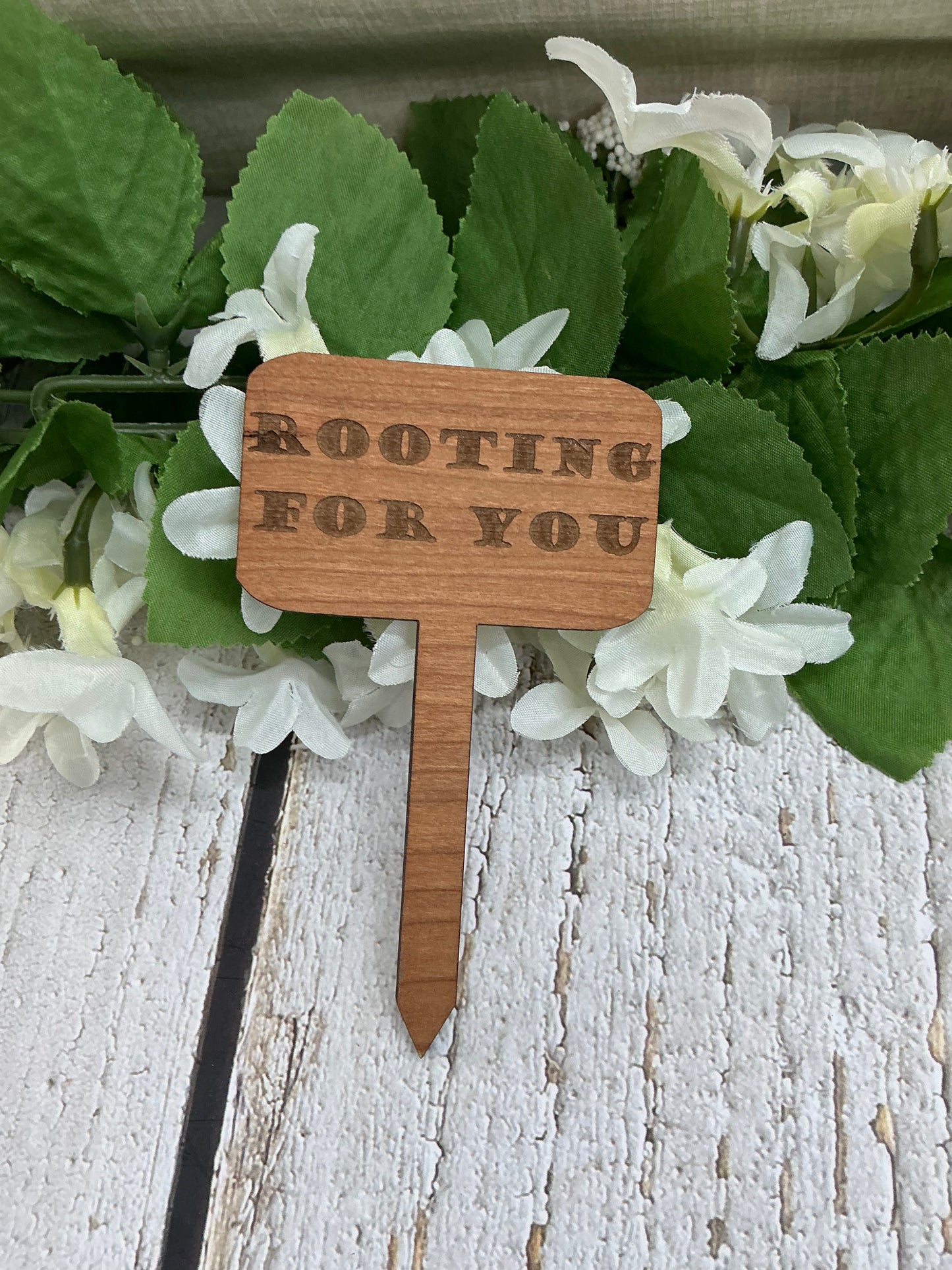 Rooting For You Dark Wood Plant Stake