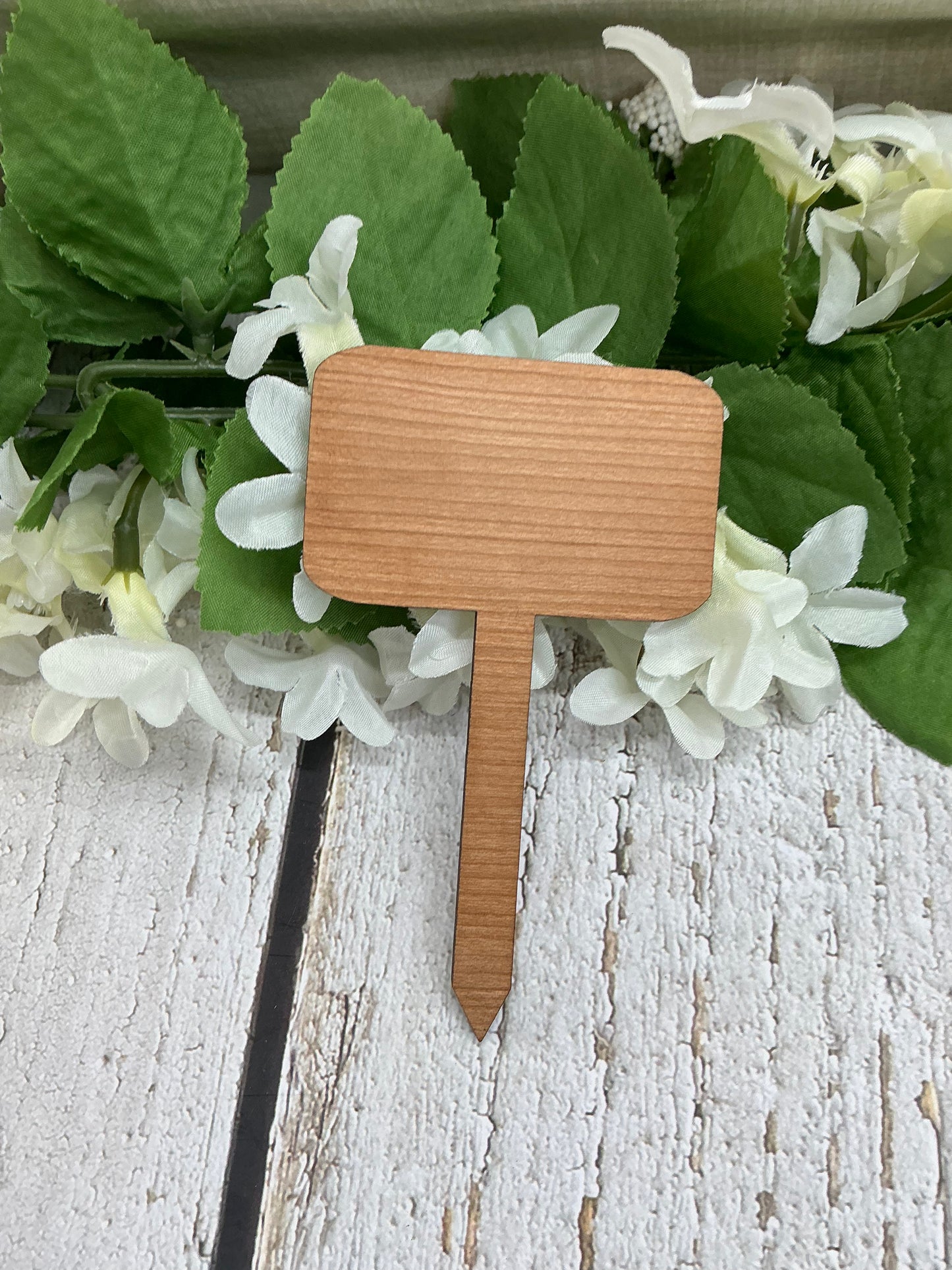 Rooting For You Dark Wood Plant Stake