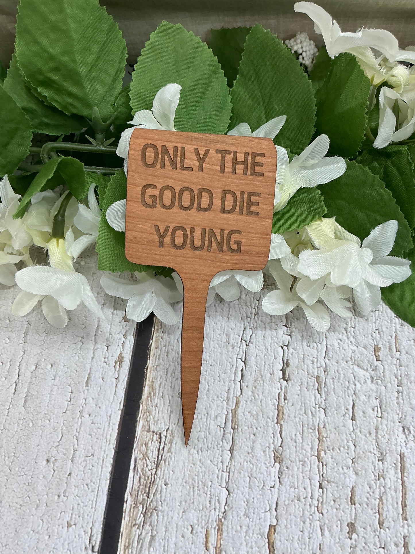 Only The Good Die Young Dark Wood Plant Stake