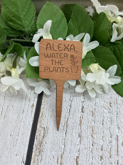 Alexa, Water The Plants Dark Wood Plant Stake