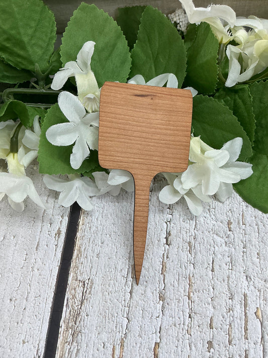 Alexa, Water The Plants Dark Wood Plant Stake