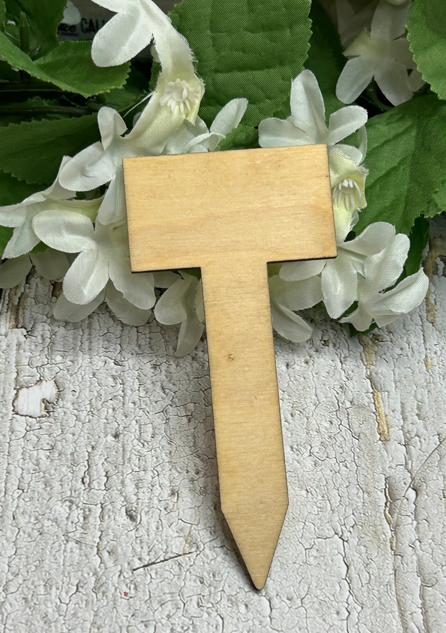 What the Fucculent plant stake - Wooden light 4.5"