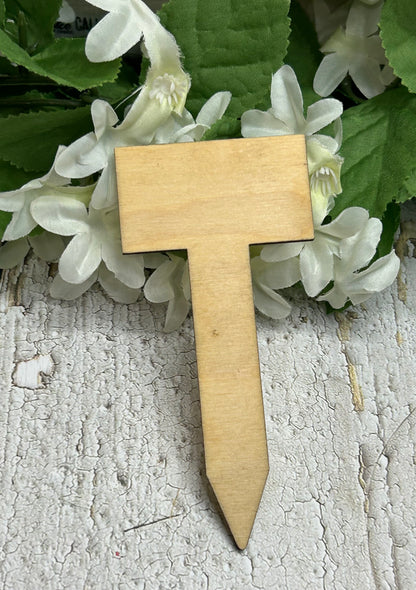 What the Fucculent plant stake - Wooden light 4.5"