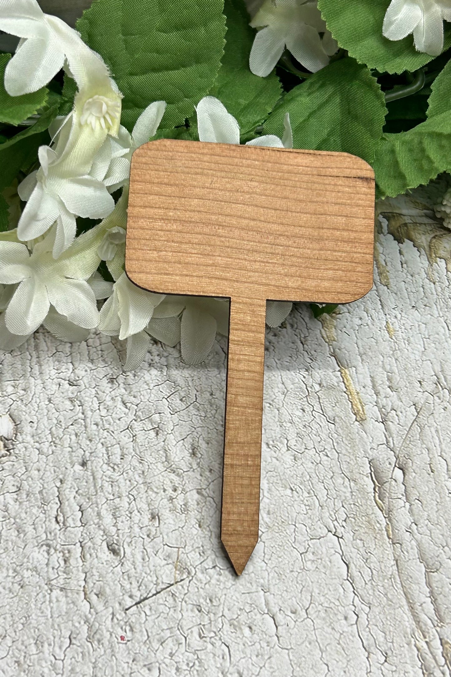 Just Let Me Die - Wooden Plant Stake 4.5"