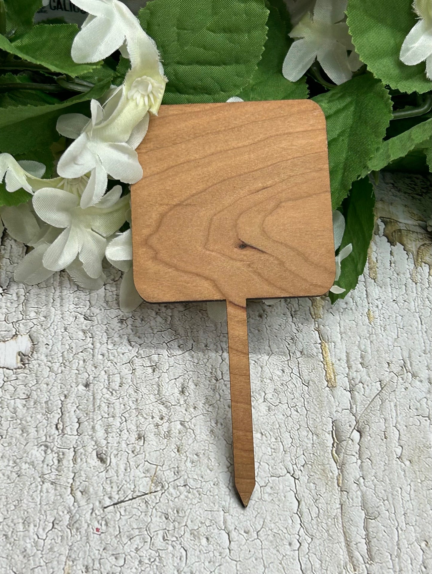 High Maintenance - Wooden Plant Stake 5"