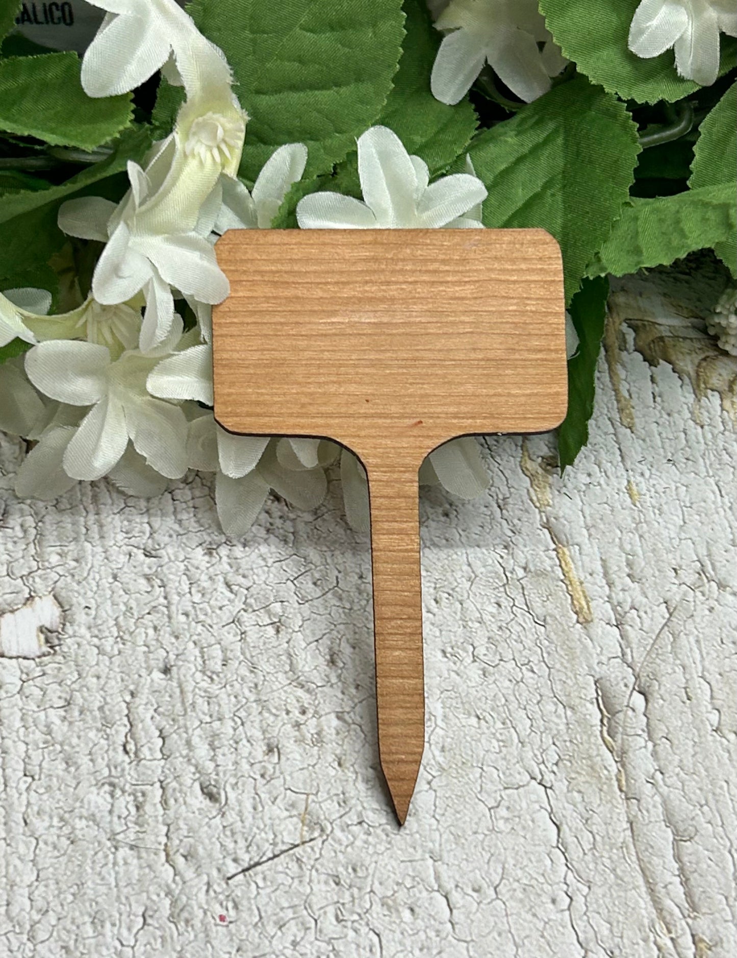 Pray For Me - Wooden Plant Stake 4"