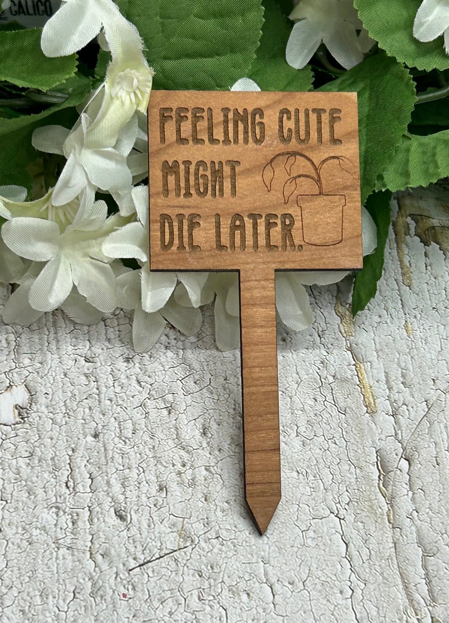 Feeling Cute Might Die Later - Wooden Plant Stake 4.5"