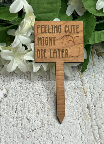 Feeling Cute Might Die Later - Wooden Plant Stake 4.5"