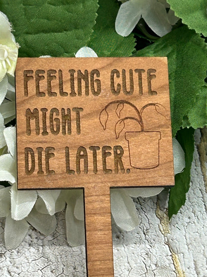Feeling Cute Might Die Later - Wooden Plant Stake 4.5"