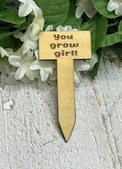 You Grow Girl - Wooden Plant Stake Light