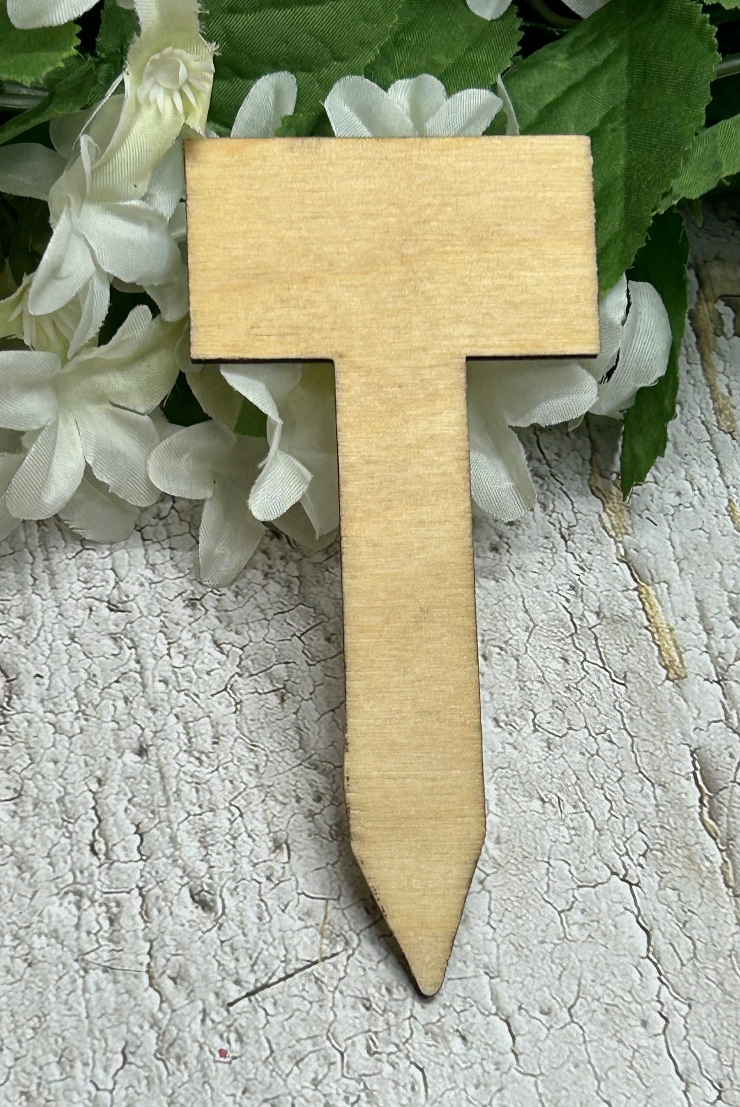 You Grow Girl - Wooden Plant Stake Light