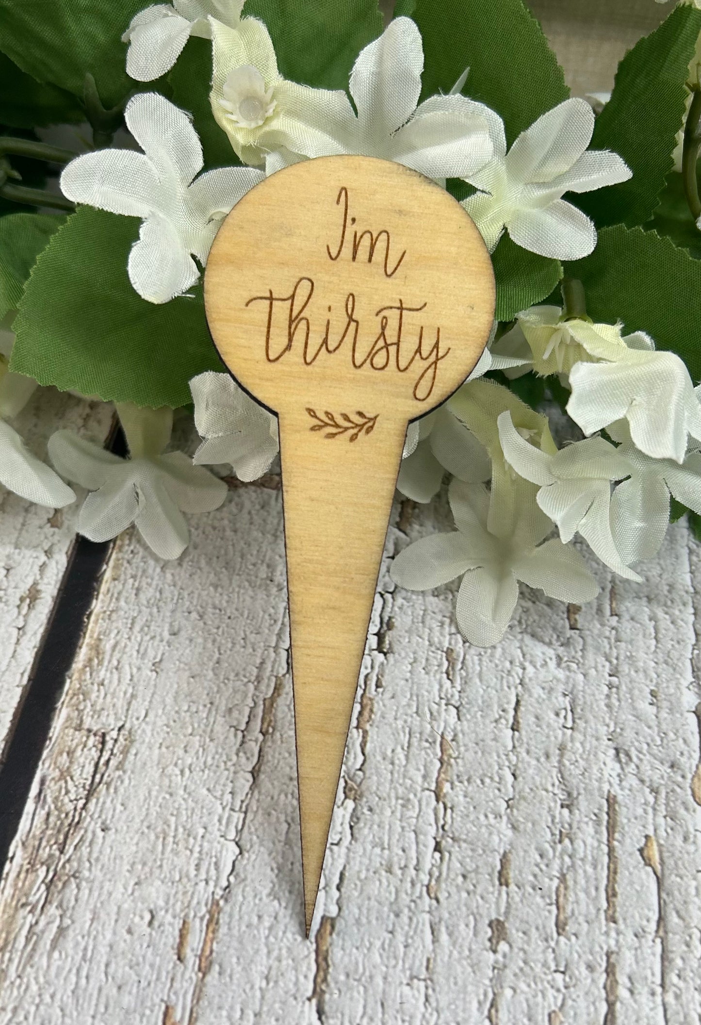 I'm Thirsty Light Plant Stake - Wood