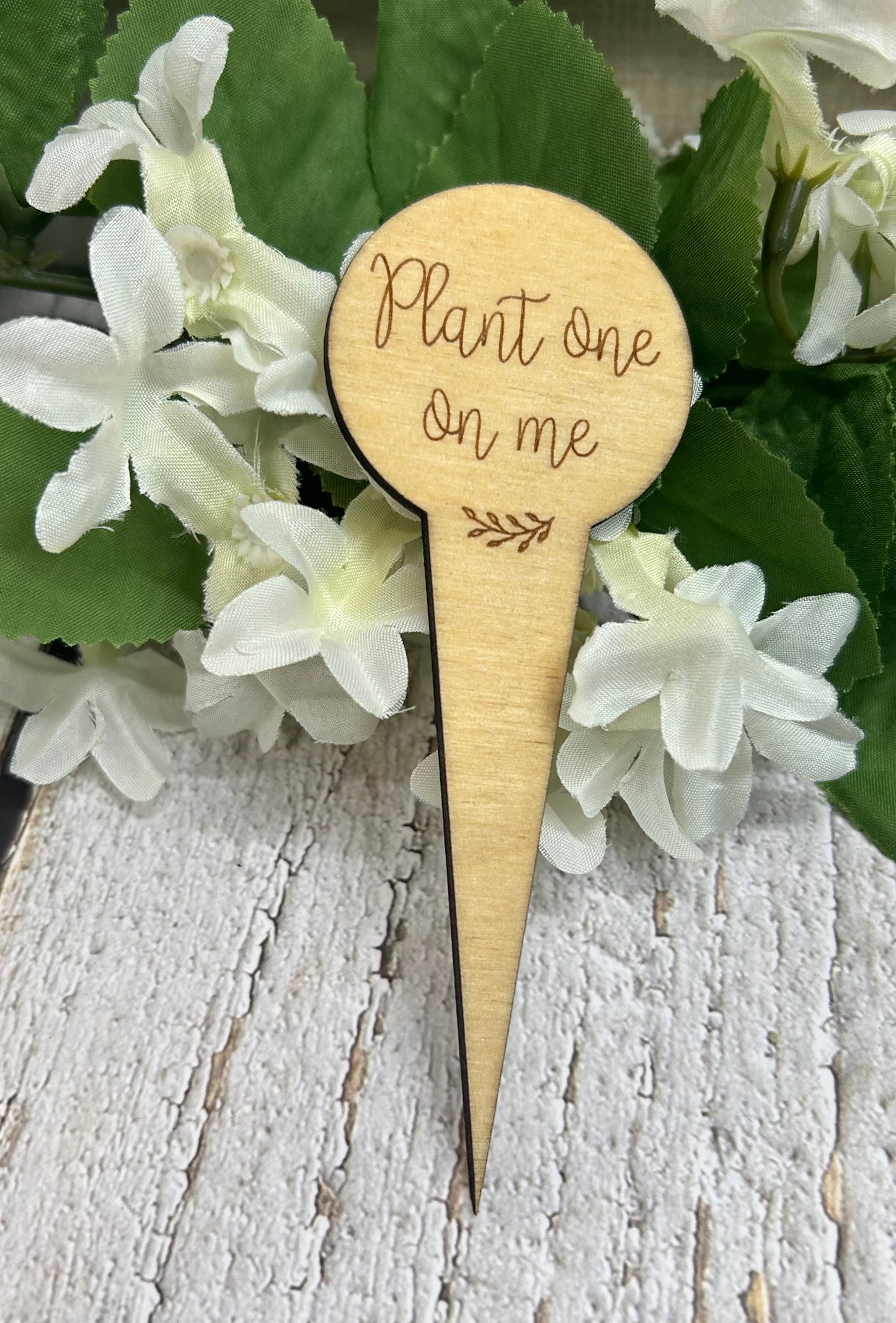 Plant One On Me Light Wood Plant Stake