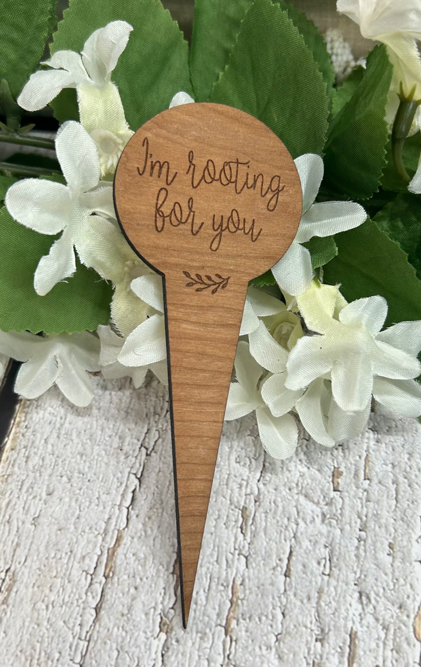 I'm Rooting For You Dark Wood Plant Stake