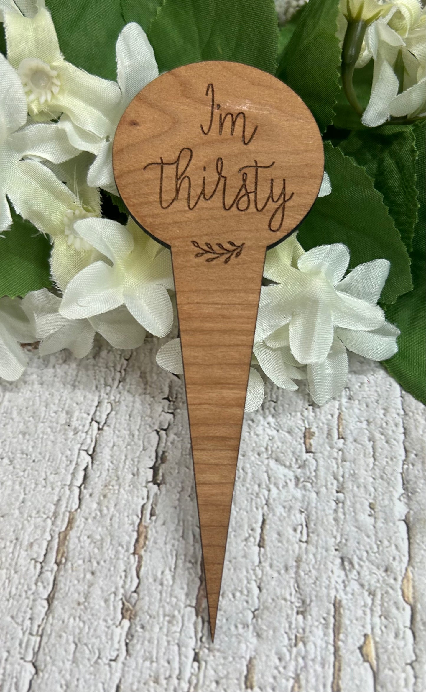I'm Thirsty Dark Wood Plant Stake